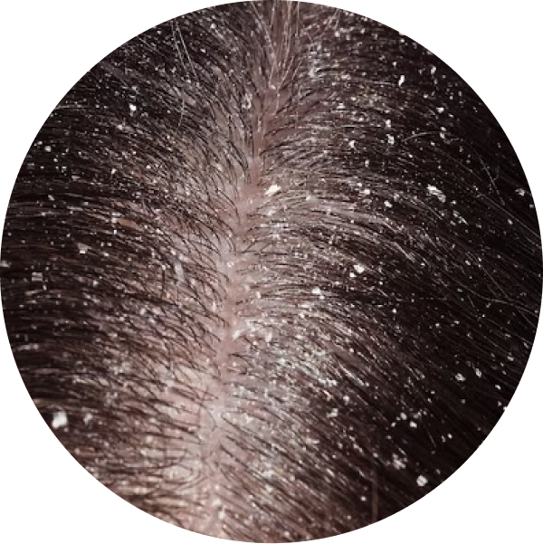 ikona wyróżniająca element nawigacji